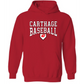 Carthage Baseball Hoodie