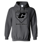 Carthage Baseball Hoodie